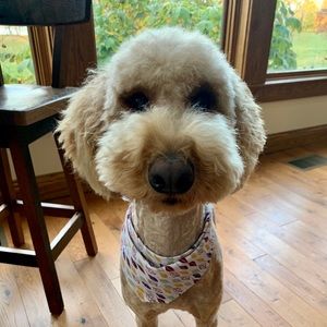 Meet your Posher, Kayelea